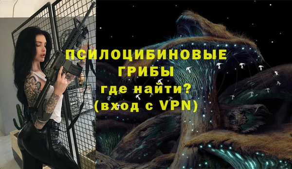 хмурый Абинск
