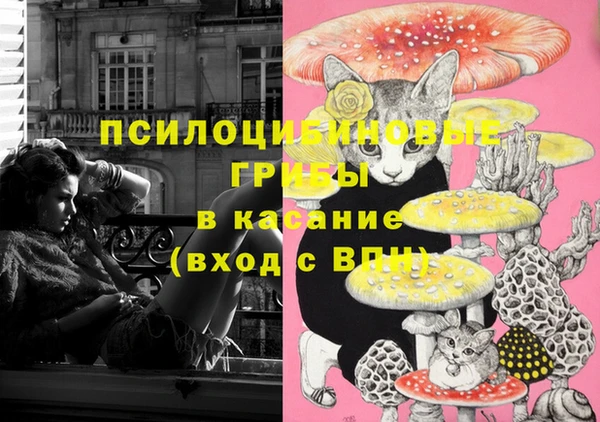 хмурый Абинск