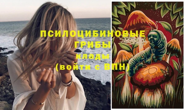 крисы Абаза