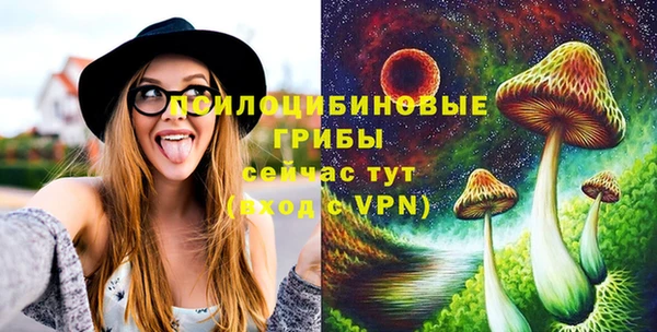 хмурый Абинск