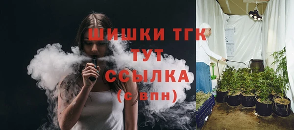 крисы Абаза