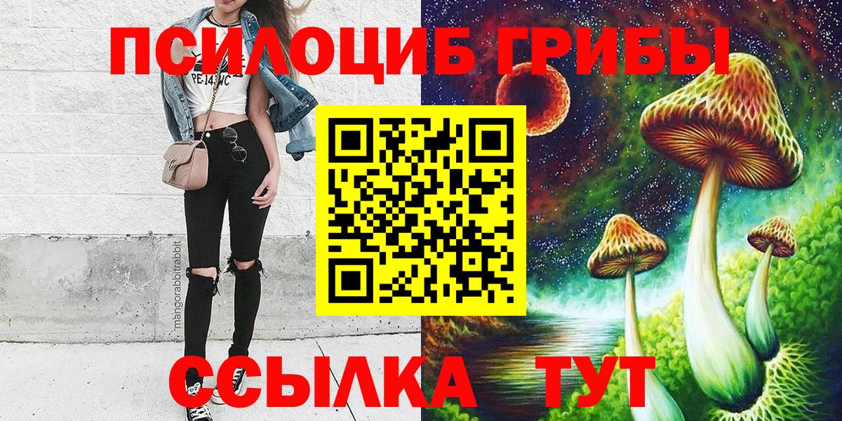 Галлюциногенные грибы GOLDEN TEACHER Каменка