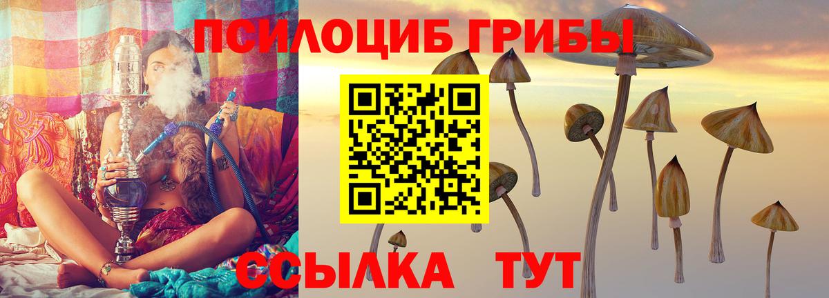 Псилоцибиновые грибы прущие грибы  Вход с VPN  Каменка 