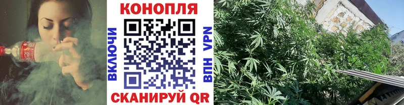 Канабис White Widow  Каменка 